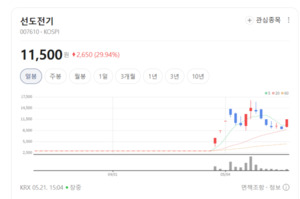 신재생 에너지 타고 흐르는 온기... 선도전기, 글로벌 인프라 시장 '정조... - 뉴스 썸네일 이미지