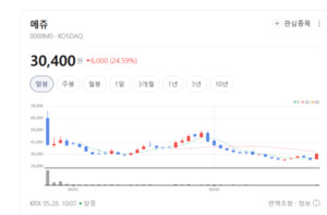 단기 변동성 뚫고 반등...메쥬, 원격 환자 모니터링 실적 가시화 주목 - 뉴스 썸네일 이미지