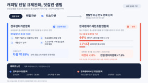'상생금융이냐 미래시장이냐'...캐피탈 렌탈 규제완화에 엇갈린 셈법 - 뉴스 썸네일 이미지