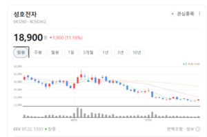체질 개선 결실 보는 성호전자... 전동화 부품 라인업 확대에 '청신호' - 뉴스 썸네일 이미지