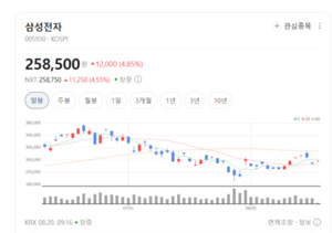 삼성전자·SK하이닉스 동반 폭등... 반도체 대장주 랠리에 시장 '들썩' - 뉴스 썸네일 이미지