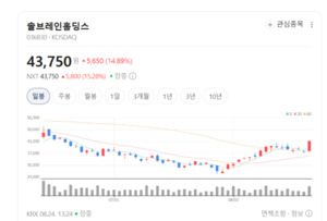 지주사 할인 해제되나... 솔브레인홀딩스, 알짜 계열사 지분 가치 부각 - 뉴스 썸네일 이미지