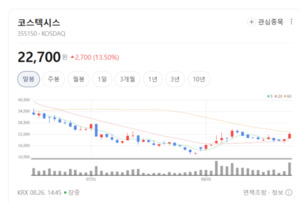 코스텍시스, 고방열 스페이서·패키징 소재 수주 가시성에 주가 훈풍 - 뉴스 썸네일 이미지