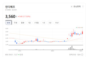 내수 회복 모멘텀 및 해외 진출 성과...삼성물산·F&F 등 대형 브랜드주... - 뉴스 썸네일 이미지