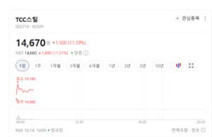 배터리 수요 회복 기대에 관련주 들썩...TCC스틸·엘앤에프도 폭풍 질주 - 뉴스 썸네일 이미지