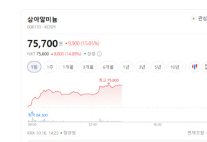 이차전지·특수합금 수요 기대... 비철금속주 달아 오른다 - 뉴스 썸네일 이미지